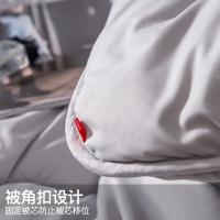 南极人（NanJiren） 轻绒暖冬被 5斤 NJDB122 200*230cm (单位:条)