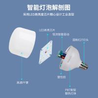 飞利浦（PHILIPS） LED灯泡 冷光6500K E40大螺口 80w (单位:个) 白色