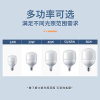 飞利浦（PHILIPS） LED灯泡 冷光6500K E40大螺口 80w (单位:个) 白色