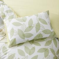 LOVO 床品四件套 叶叶之春 枕套48*74*2被套200*230cm床单230*241cm (单位:套) 绿色
