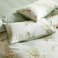 金丝莉（KINTHERI） 奢享全棉四件套 SX-238 被套200*230cm床单230*250cm枕套48*74cm*2 (单位:套)