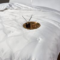 艾逸瑶选 艾丽卡 蚕丝蛋白春秋被 JF-24132 200*230cm (单位:床) 新老包装随机发货