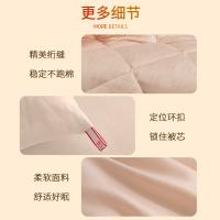 恒源祥（HYX）HYX628BZ A类抗菌磨毛恒暖被 200*230cm（单位：条） 粉色