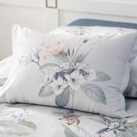 梦洁家纺 1010189016 锦玉梦韵 纯棉印花四件套 200*230CM（单位：套）