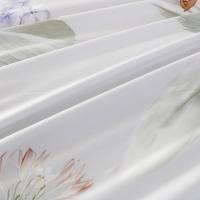 梦洁家纺 1010189016 锦玉梦韵 纯棉印花四件套 200*230CM（单位：套）