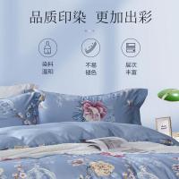 富安娜（fuanna） 倾韵物语 阳光好棉床品四件套（被套203*229cm+床单230*240cm+枕套74*48cm*2个） ( 单位 :床)