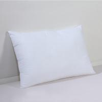 富安娜（fuanna） 美梦安睡 对枕 74*48cm*2(单位：对)