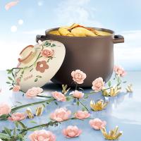 苏泊尔（SUPOR） 新陶养生煲 TB60A3 6L (单位:个)