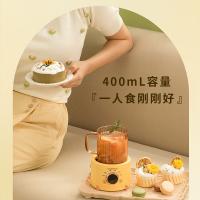 大宇（DAEWOO） 养生壶多功能煮茶壶 Y01 400mL (单位:台) 黄色