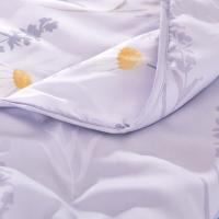 恒源祥（HYX） 抗菌大豆夏被 HYX187BZ-DZ 200*230cm (单位:床)