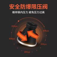 双喜 高压锅 CY-20LF01E 20cm (单位:个) 银色