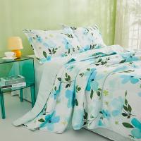 恒源祥（HYX） 夏被A类抗菌夏凉被悦美 HYX308BZ 160*210cm (单位:条)