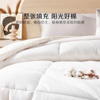 浮士德 印象冬被 柔软抗菌 02402019 200*230cm 8床/箱 (单位:床) 新老包装随机发货