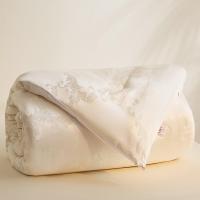 恒源祥（HYX） 福气满满抗菌大豆被 HYX221BZ 150*200cm (单位:条)