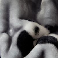 恒源祥（HYX） 双层保暖毯子熊猫嘟嘟 HYXXYX180220001 180*220cm (单位:条)