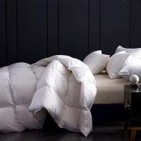 花花公子 顶奢羽绒被 HYRE-04 200cm*230cm (单位:条)