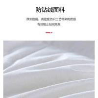 花花公子 顶奢羽绒被 HYRE-04 200cm*230cm (单位:条)
