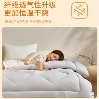 恒源祥（HYX） HYX274BZ 水洗磨毛抗菌被 200*230cm （单位:条） 浅灰