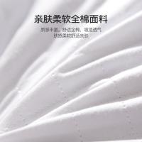 恒源祥（HYX）HYZT02 可脱卸全棉荞麦枕 48*74cm（单位：只）