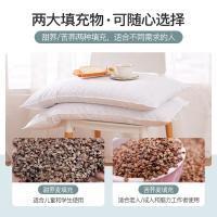 恒源祥（HYX）HYZT02 可脱卸全棉荞麦枕 48*74cm（单位：只）