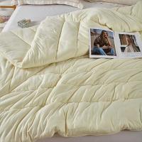 红秀世纺 SF2309-T003 糯糯奶昔被 200*230cm 2000g (单位: 条)