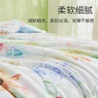 恒源祥（HYX） HYX310BZ 花开静好 柔软夏被 160*210cm (单位: 床)