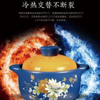 艾逸瑶选 CJ-21101 繁花锂辉石陶瓷煲 2.8L （单位：个） 蓝色