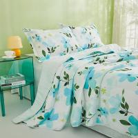恒源祥（HYX） HYX308BZ 夏被A类抗菌夏凉被悦美  160*210cm (单位:条)