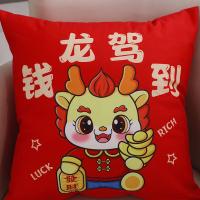 PLOVER 钱龙驾到 抱枕 40*40cm（单位：个）