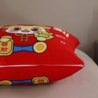 PLOVER 钱龙驾到 抱枕 40*40cm（单位：个）