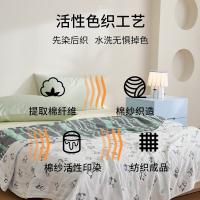 恒源祥（HYX） HYX208BZ 睡睡平安抗菌毛巾被 200*230cm 3.2斤 （单位：条)