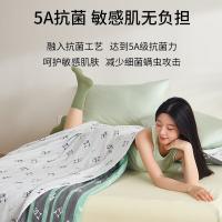 恒源祥（HYX） HYX208BZ 睡睡平安抗菌毛巾被 200*230cm 3.2斤 （单位：条)