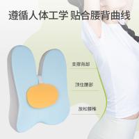 佳奥 人体工学腰垫 马卡龙蝶形靠垫 42.5*46.5*12.5cm 天蓝色（单位： 个）