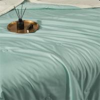 艾逸瑶选 JF-24110 克莱恩抗菌被 200x230cm（单位：床）新老包装随机发货