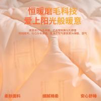 恒源祥（HYX） HYX628BZ A类抗菌磨毛恒暖被 200cm*230cm（单位：条）