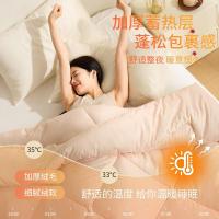 恒源祥（HYX） HYX628BZ A类抗菌磨毛恒暖被 200cm*230cm（单位：条）