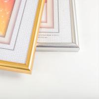 金隆兴 BB-A4 高级镜框 营业执照框 21*29.7cm 银边 (单位：个)