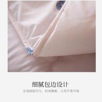 小熊家纺 BH-1723-2 甄语暖绒四季被 200*230CM（单位：条）