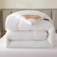 故园（homeshine） QZ241365 温丝汀暖心被芯 200*230cm（单位：床）