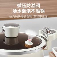 十八子作 HM-205DG 爱家微压炖锅 26cm（单位：个）