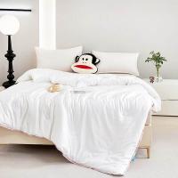 大嘴猴（Paul Frank） PFFCS241196U 嘉柔蚕丝被 200x230cm 2100g (单位: 床)