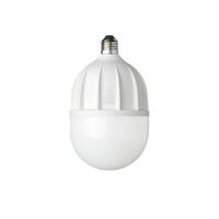 欧普照明（OPPLE） LED球泡-心悦Ⅱ代-T115-40W-E27-6500K 灯泡 40W 白光（单位：个）