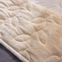 恒源祥（HYX） HYXTH200230 加厚双人秋冬保暖盖毯 200*230cm （单位:条）