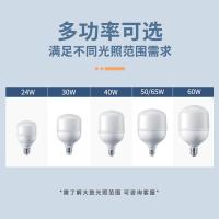 飞利浦（PHILIPS） LED天棚灯-85W LED灯泡 冷光6500K E40大螺口 80w (单位:个) 白色