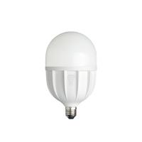 欧普照明（OPPLE） LED球泡-心悦Ⅱ代-T100-30W-E27-6500K 灯泡 30W（单位：个）