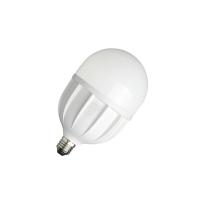 欧普照明（OPPLE） LED球泡-心悦Ⅱ代-T100-30W-E27-6500K 灯泡 30W（单位：个）