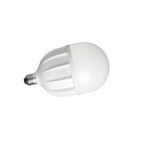 欧普照明（OPPLE） LED球泡-心悦Ⅱ代-T100-30W-E27-6500K 灯泡 30W（单位：个）