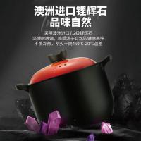 爱仕达（ASD） RXC60B3Q 汤锅 6L 陶瓷材质 (单位:个) 焰橙