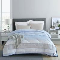 天琴（TISEN） TQ-B069 风尚保暖 被子 200*230cm （单位:床）