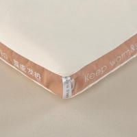 萱遇家纺 Q-D2006 生姜暖绒锁温被 200*230cm (单位:床)